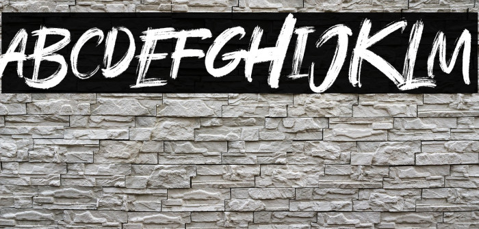 Rushink DEMO Example 1