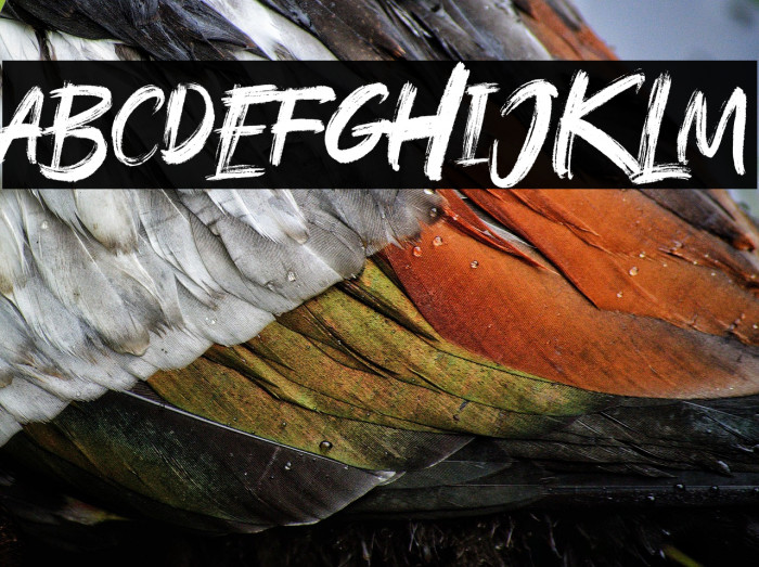 Rushink DEMO Example 2