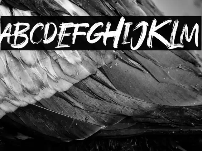 Rushink DEMO Font examples