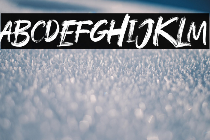 Rushink DEMO Example 3