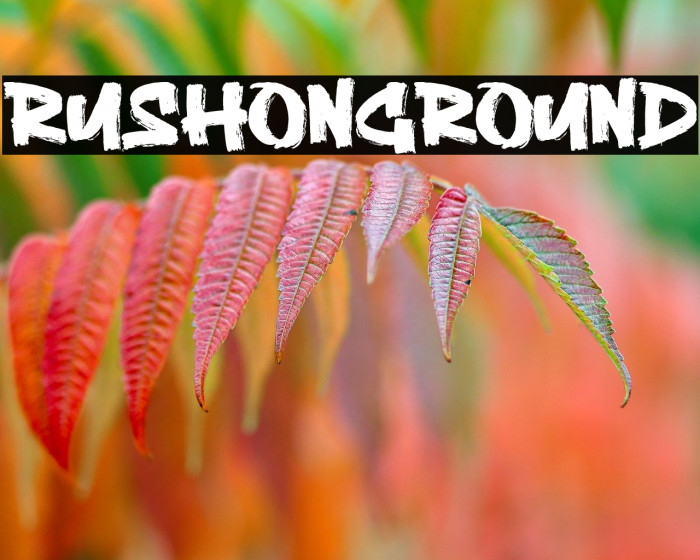 Rushon Ground Example 1