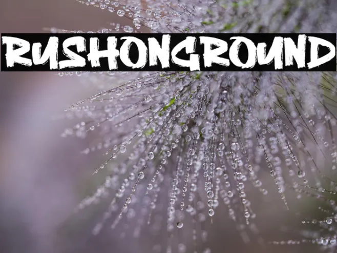 Rushon Ground Example 2