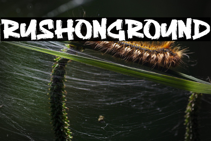 Rushon Ground Example 3