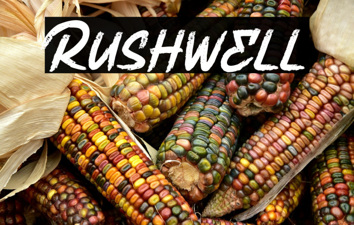 Rushwell Example 2