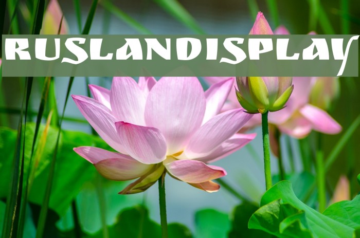 RuslanDisplay Font examples