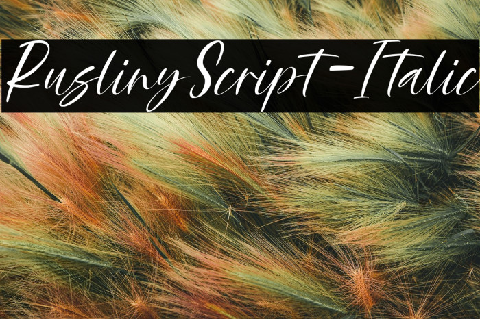 RuslinyScript-Italic Example 3