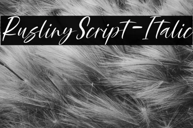 RuslinyScript-Italic Font examples