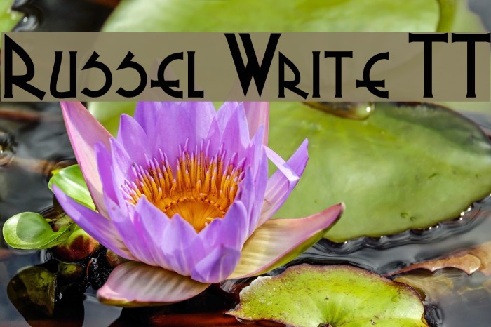 Russel Write TT फ़ॉन्ट examples