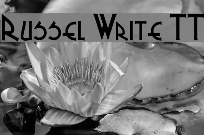 Russel Write TT Font examples