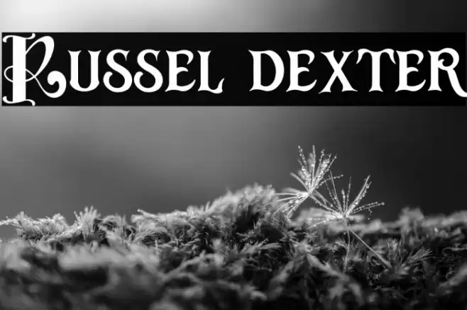 Russel dexter Font examples