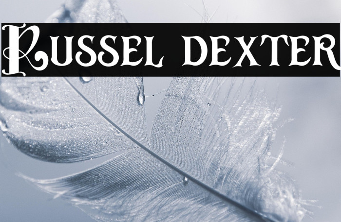 Russel dexter Example 3