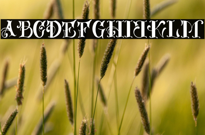 Russeldexter Example 1