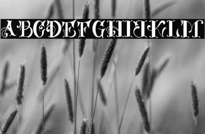 Russeldexter Font examples