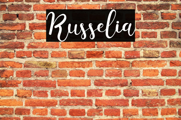 Russelia Example 2