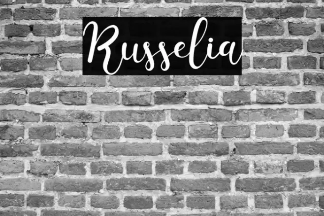 Russelia Font examples