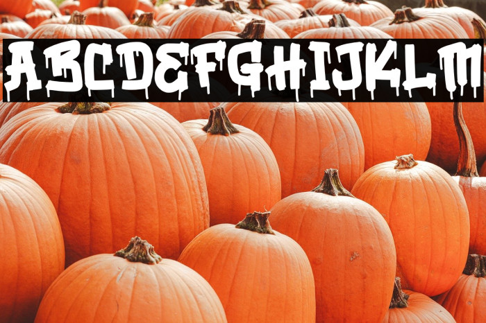 Russelot Personal Use Example 3