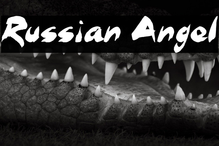 Russian Angel Example 2