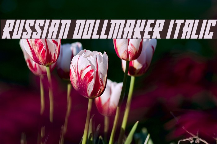 Russian Dollmaker Italic Font examples
