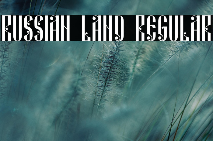 Russian Land Regular Example 2