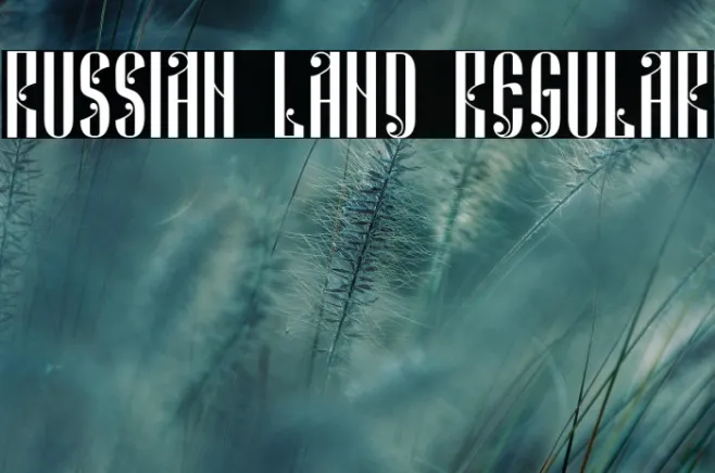 Russian Land Regular Example 2