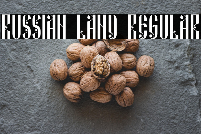 Russian Land Regular Example 3