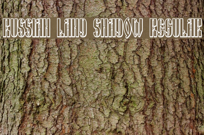 Russian Land Shadow Regular Example 2