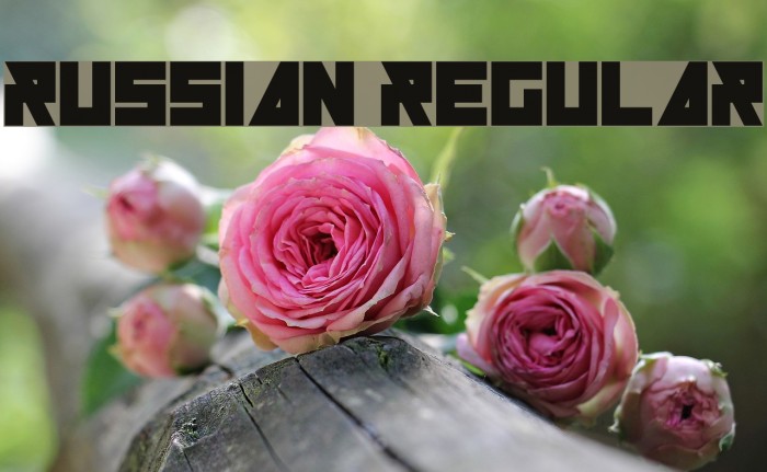 Russian Regular Font examples