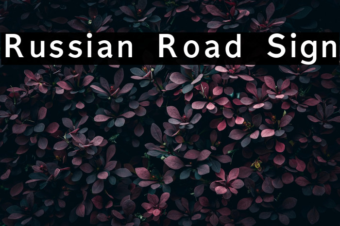 Russian Road Sign Example 2
