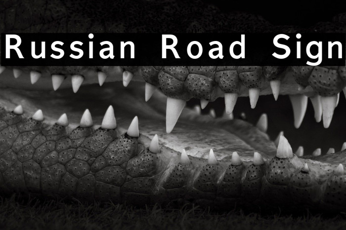 Russian Road Sign Example 3