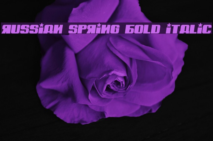 Russian Spring Bold Italic Font examples