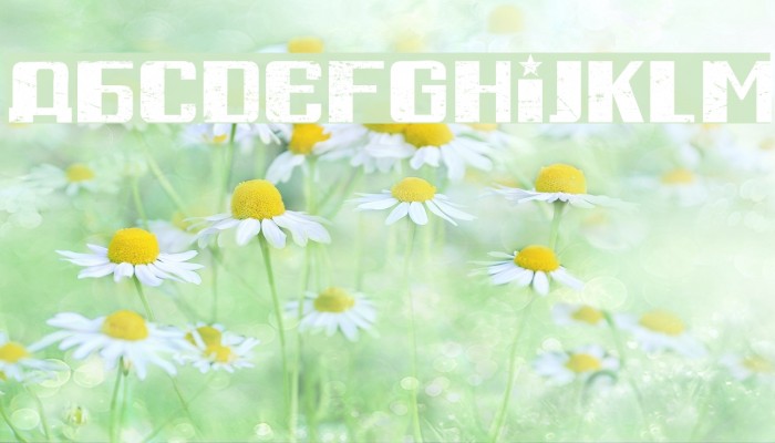 Russian Spring Grunged Regular Font examples