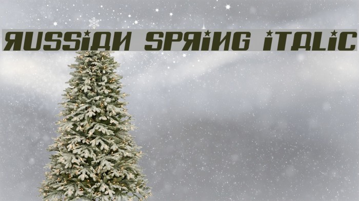 Russian Spring Italic Font examples