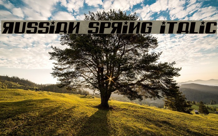 Russian Spring Italic Font examples