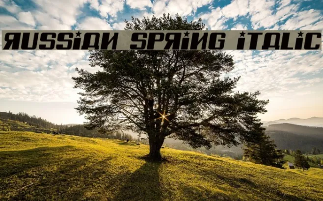 Russian Spring Italic Example 2