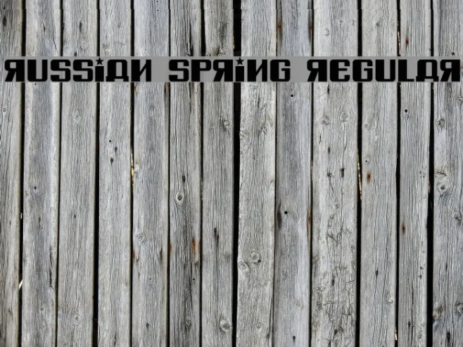 Russian Spring Regular Example 2