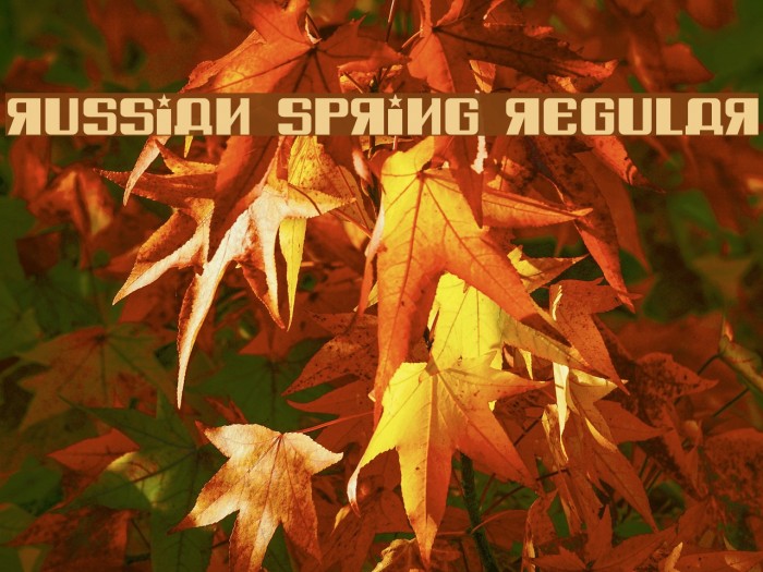 Russian Spring Regular Font examples