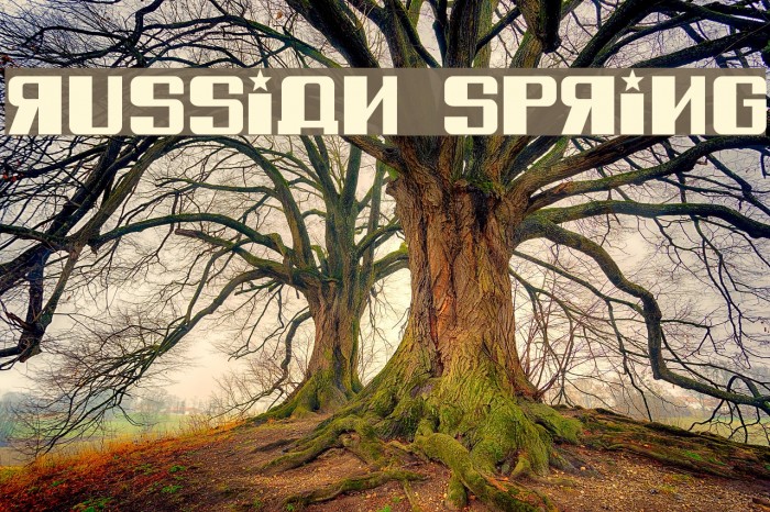 Russian Spring Font examples