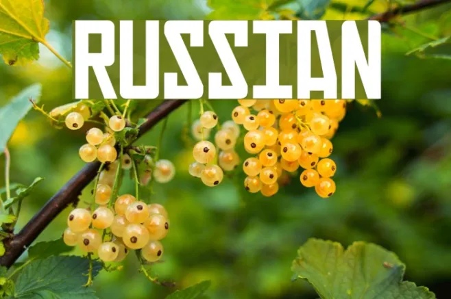 Russian Example 2