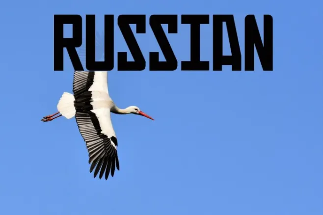 Russian Example 3