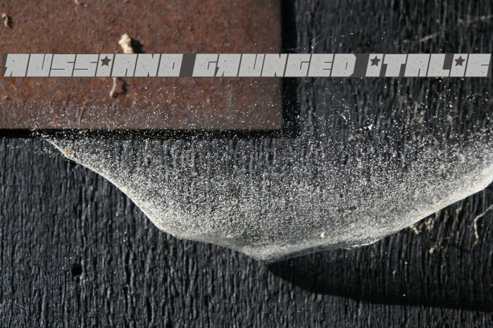 Russiano Grunged Italic Example 1