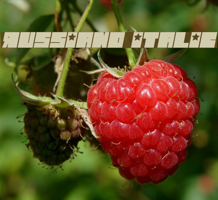 Russiano Italic Font examples