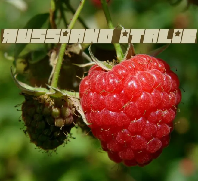 Russiano Italic Example 1