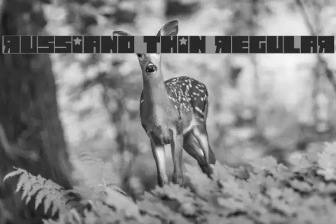 Russiano Thin Regular Font examples