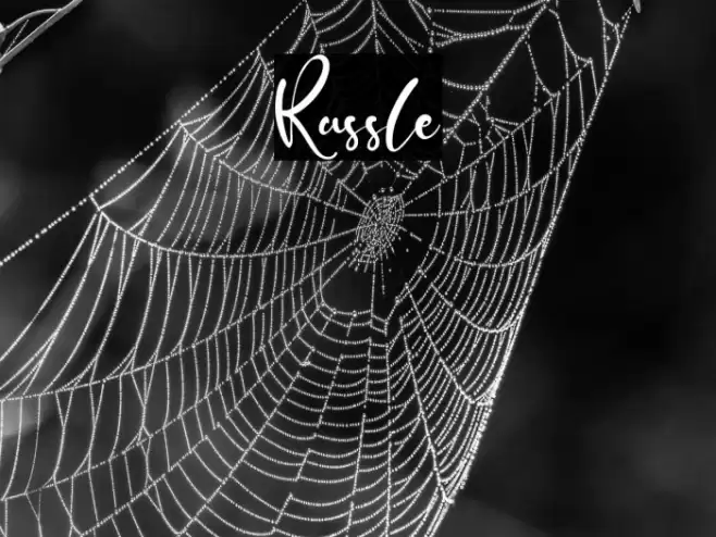 Russle Font examples