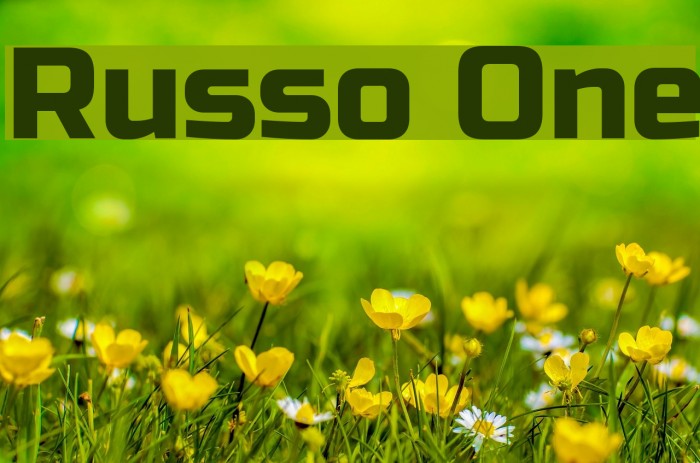 Russo One Font examples