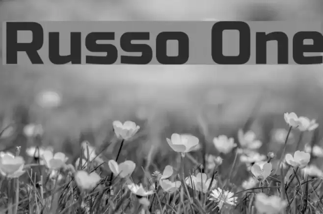 Russo One Font examples