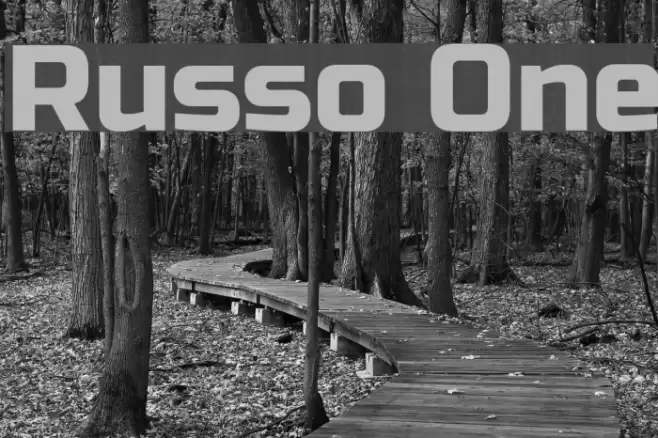 Russo One Font examples