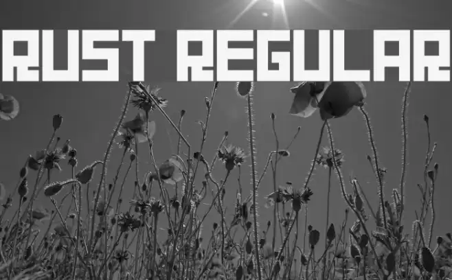 Rust Regular フォント examples