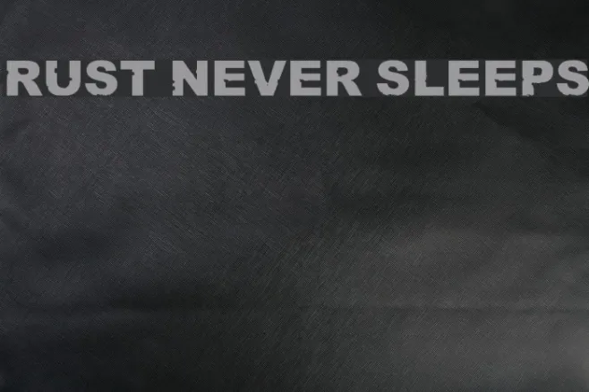 Rust never sleeps Example 2