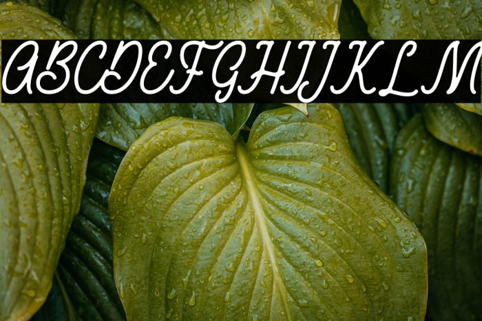 RustedOrlandoDemo Example 2